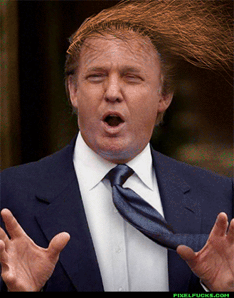 donald-trump-giphy