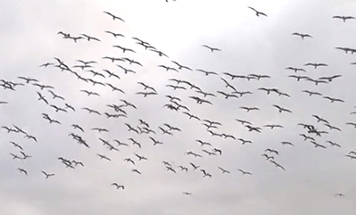 Okay, on the count of three….. One… two…&nbsp;three!