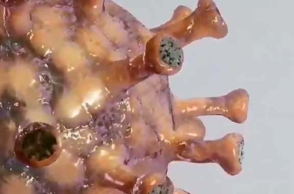 3D image of the Coronavirus&nbsp;COVID-19