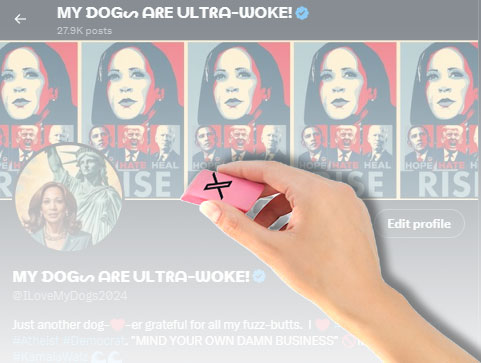 Elon Musk Has Secretly Killed My Visibility In My X/Twitter&nbsp;Account